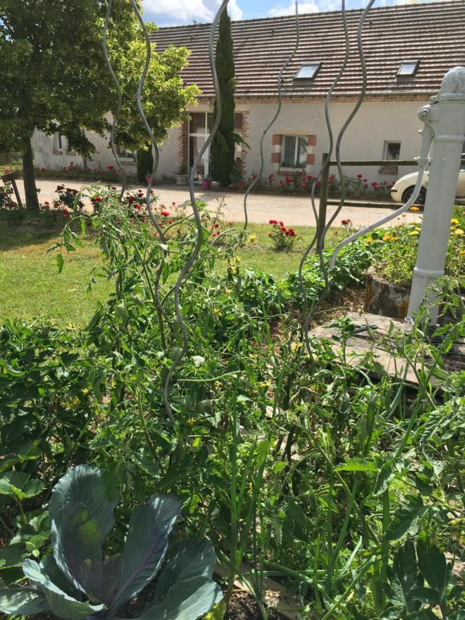 La Ferme De La Maugerie Bed & Breakfast Thoury Екстериор снимка