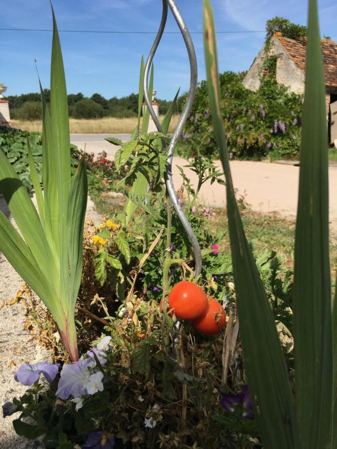La Ferme De La Maugerie Bed & Breakfast Thoury Екстериор снимка